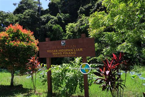 Propertyguru helps you find the right property in malaysia. Hutan Lipur Bukit Kubu, Kuala Perlis