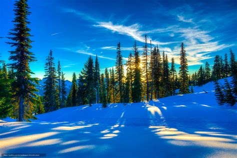 下载壁纸 冬天 日落 树 景观 免费为您的桌面分辨率的壁纸 6024x4024 — 图片 №561593