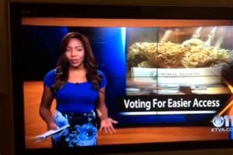 news anchor quits live on air to promote weed legalisation dazed