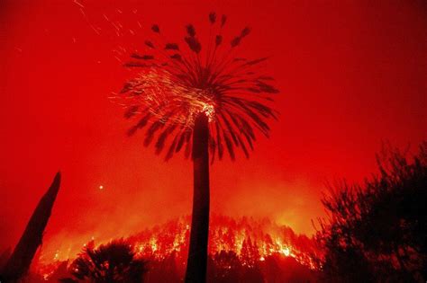 California Wildfire Evacuees Return Home To Find Devastation Nation