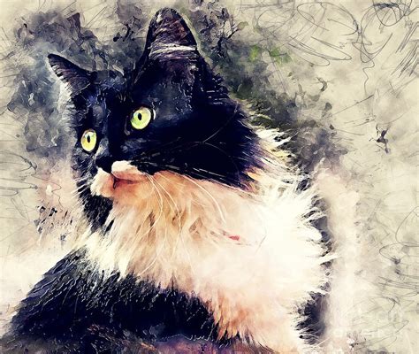 Cat Lola Watercolor Painting By Justyna Jaszke Jbjart Fine Art America