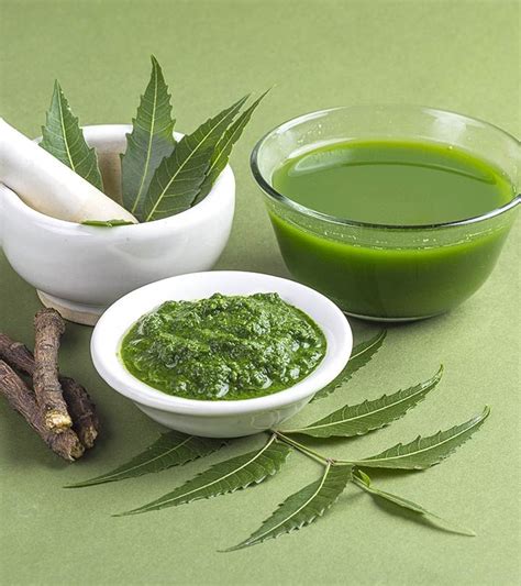 10 Amazing Benefits Of Neem Paste On Your Skin Dry Skin Care Organic
