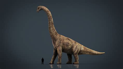 3d Model Brachiosaurus Dinosaur Vr Ar Low Poly Cgtrader