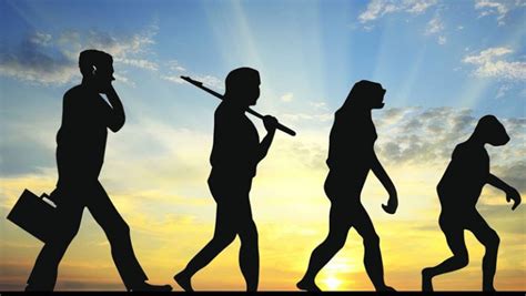 Reverse Evolution of Man, Humanity | POLITUSIC