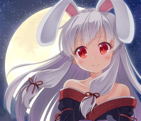 White Hair Anime Girl Bunny Anime Wallpaper Hd