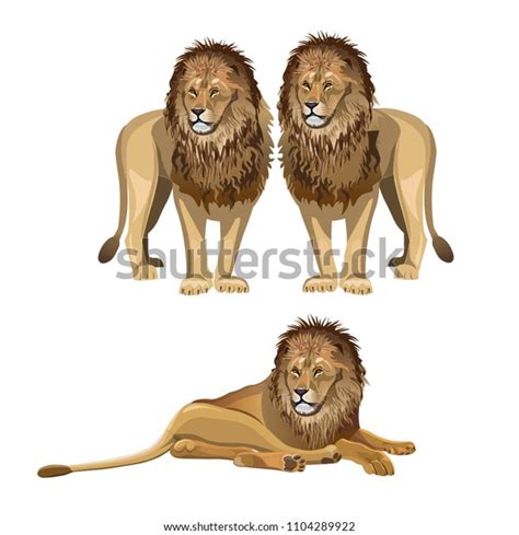 Various Poses Lion Vector Illustration Isolated Stock Vector Royalty