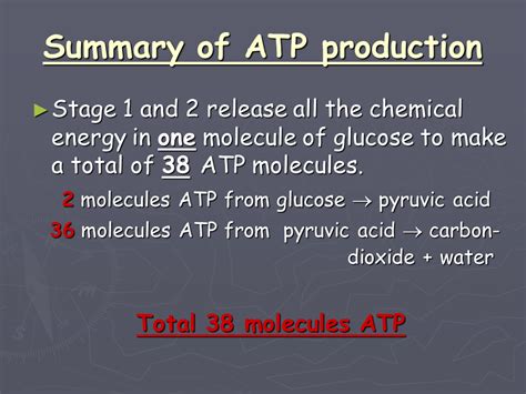 They are also stored in the fat tissues called adipose which create a layer. The Role Of Carbohydrate, Fat And Protein As Fuels For Aerobic And Anaerobic Energy Production ...
