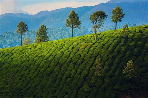 For Many Travellers Kerala Is South Indias Most Serenely Beautiful