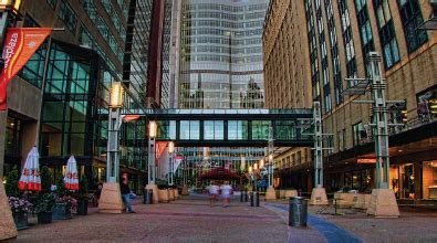 Cute little christmas bundle of joy. SocialICE | Downtown Rochester, MN