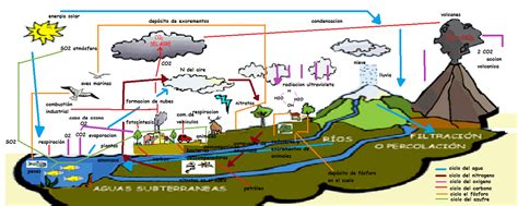 Ciclos Biogeoquimicos Mind Map