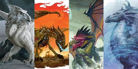 Dungeons And Dragons 10 Most Powerful Dragons Ranked Screenrant