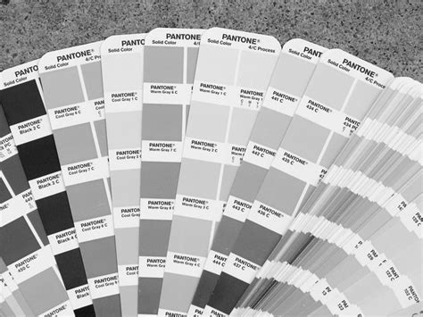 Pantone Greys Color Grey Pinterest