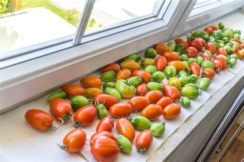 4 Ways To Ripen Green Tomatoes Indoors Farmers Almanac