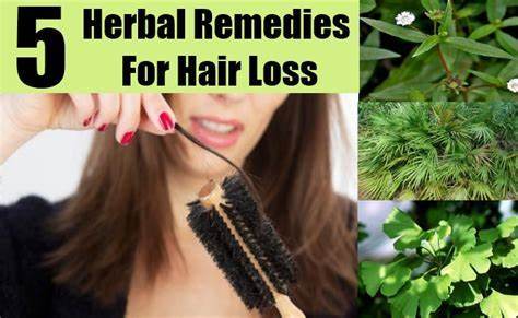 12 Best Ayurvedic Remedies For Hair Loss And Regrowth