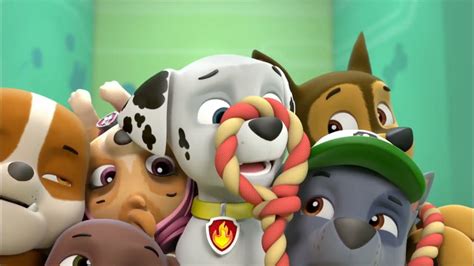 Paw Patrol Marshalls Weekly Wipeouts Season 1 Pups Save A Toof