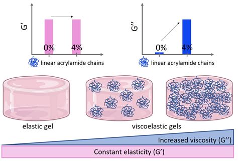 A Novel Method To Make Polyacrylamide Gels With Mechanical Properties