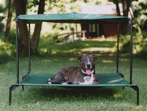 Doggy Bed For Outside Outside Dog Bed Elevated Dog Bed Outdoor