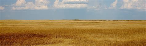 Conserving The Shortgrass Prairie Of Eastern Colorado