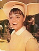 Sally Field of "The Flying Nun" - Sitcoms Online Photo Galleries