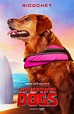 Superpower Dogs | Edmonton Movies