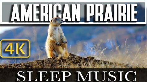 4k Nature Montana Prairie Scenics And Wildlife Music In Nature For