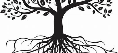 Roots Tree Clipart Clip Pinclipart Automatically Start