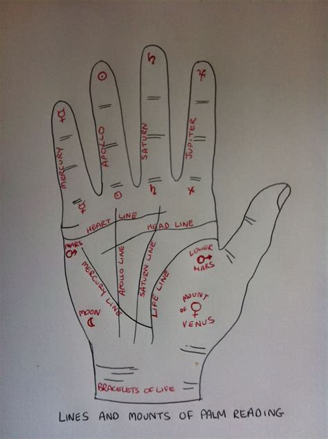 Palm Reading Guide Heart Line Yoiki Guide