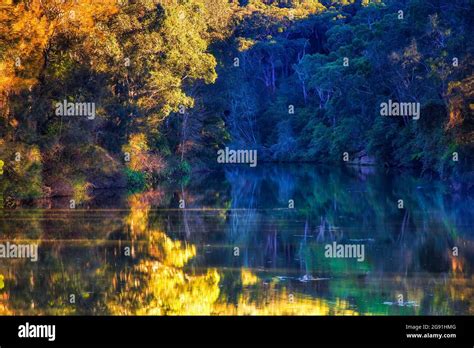 Lane Cove River In Lane Cove National Park Of Sydney In Soft Morning