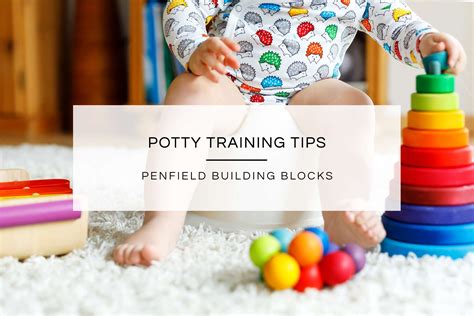 Potty Training Tips Penfield Building Blocks