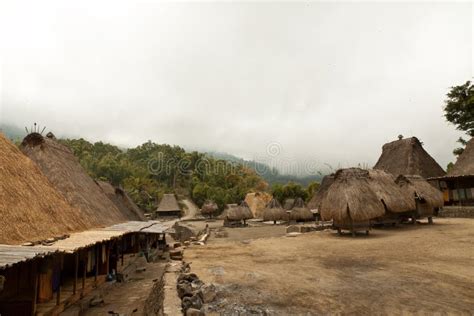 Pueblo Tradicional Bena En La Isla Indonesia De Flores Imagen De Archivo Imagen De Hermoso