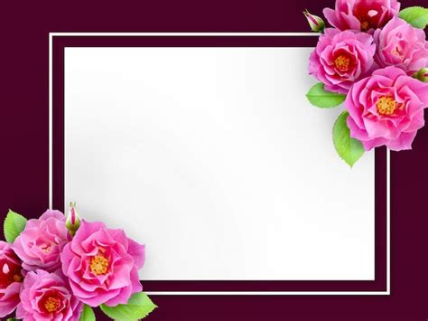 Premium Photo Square Frame Of Pink Blossom Rose Flowers Template