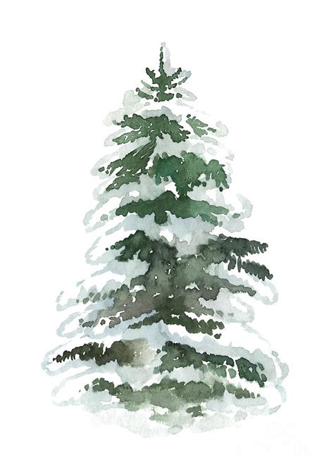 Evergreen Tree Covered In Snow Painting By Joanna Szmerdt Pixels