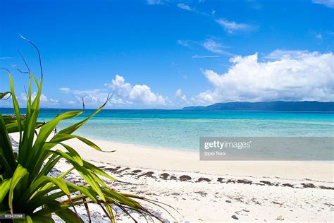 Deserted Beach On Tropical Coral Island Of Japan Photo Getty Images