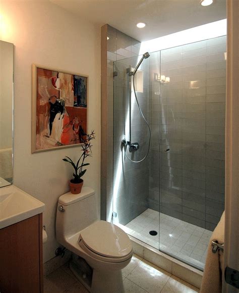 Small Bathroom With Shower Small Showers Tiny Bathrooms Bathroom