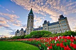 Parliament | The Canadian Encyclopedia