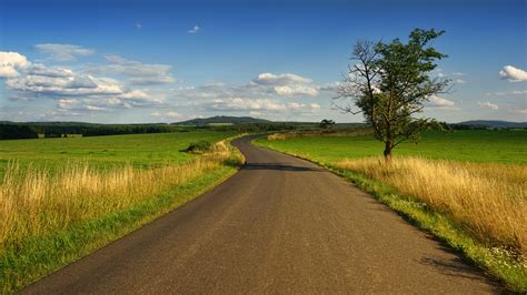 Photo Of Road In The Middle Of The Grass Field · Free Stock Photo