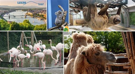 Zoo Budapešť A Prehliadka Mesta Zamenejsk