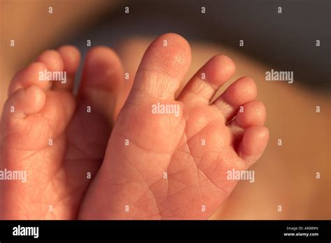 Baby Feet Up Close Showing The Soles And Toes Stock Photo Alamy