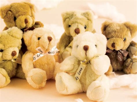 Cute Teddy Bear Pictures We Need Fun