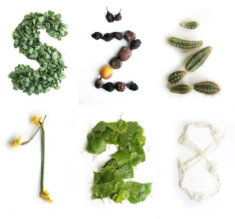 These patterns are used with the exec() and test() methods of regexp, and with the match(), matchall(), replace(), replaceall(), search(), and split() methods of string. Just Your Type: Kooky, Real & Physical Typography & Fonts ...