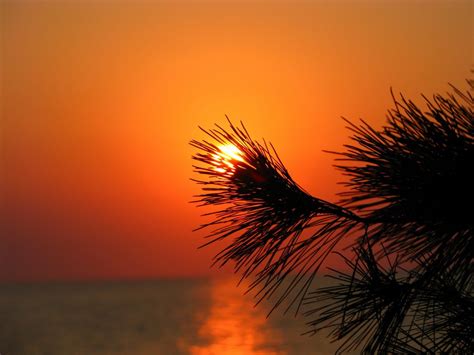 Orange And Red Sunset Over Water Peaceful Breath · The