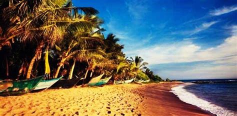 20 Scintillating Beaches In Sri Lanka To Visit In 2019 Soon