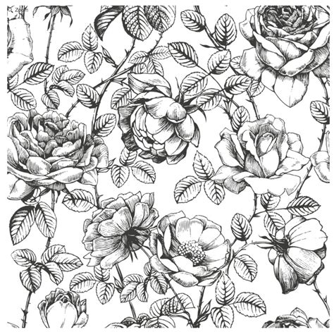 Floral Anewall Roses Drawing How To Draw Hands Flower Drawing