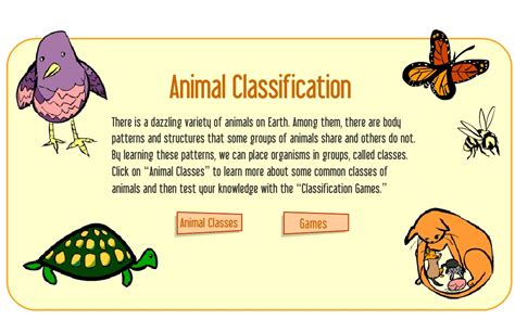Top 118 How Can We Classify Animals