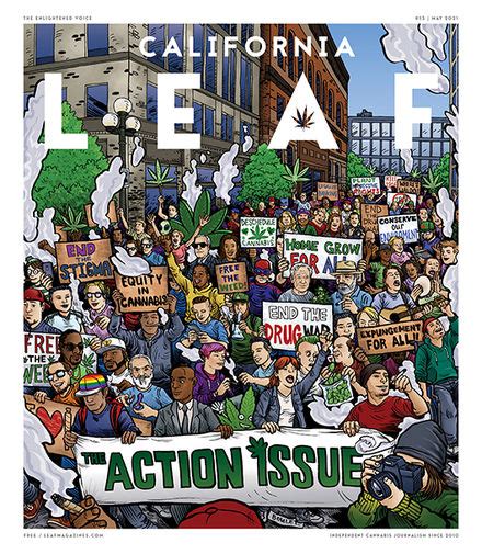 California Leaf Leaf Nation
