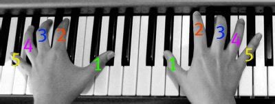 The ring finger is the third from thumb finger of a human hand. Correct Piano Fingering: The Why and the How