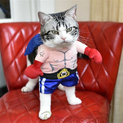 Funny Dog Cat Costumes Boxer Cosplay Suit Pet Clothing