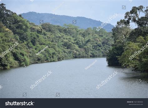 Chalakudy River Forest Background Kerala Stock Photo 1021489354