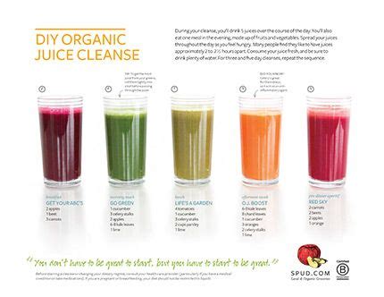 Maybe you would like to learn more about one of these? Pin by Rebecca Kendall Gagnon on Healthy Sips | Juice cleanse recipes, Organic juice cleanse ...