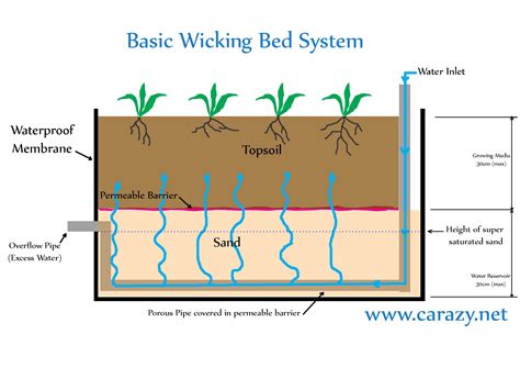 A wicking bed is an excellent technique for growing things in environments where water is scarce. Setting up the Wicking Bed with modified large capacity ...